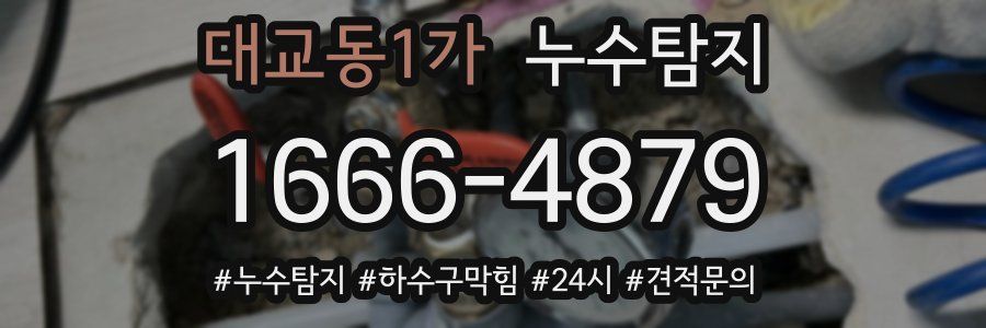 누수닥터 누수탐지