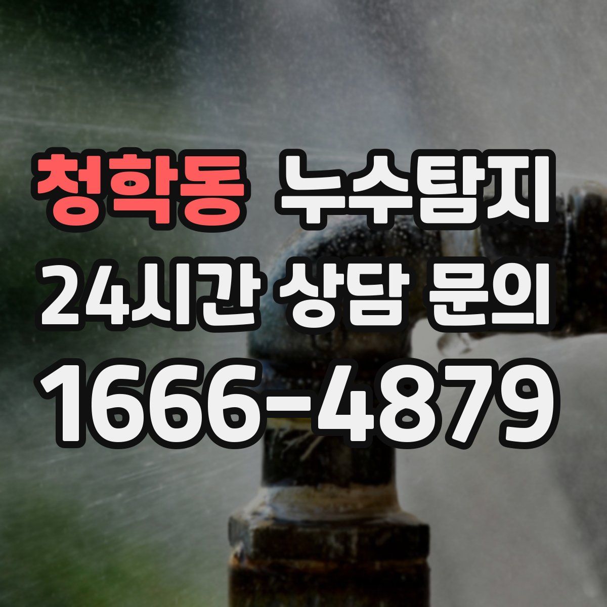 누수탐지