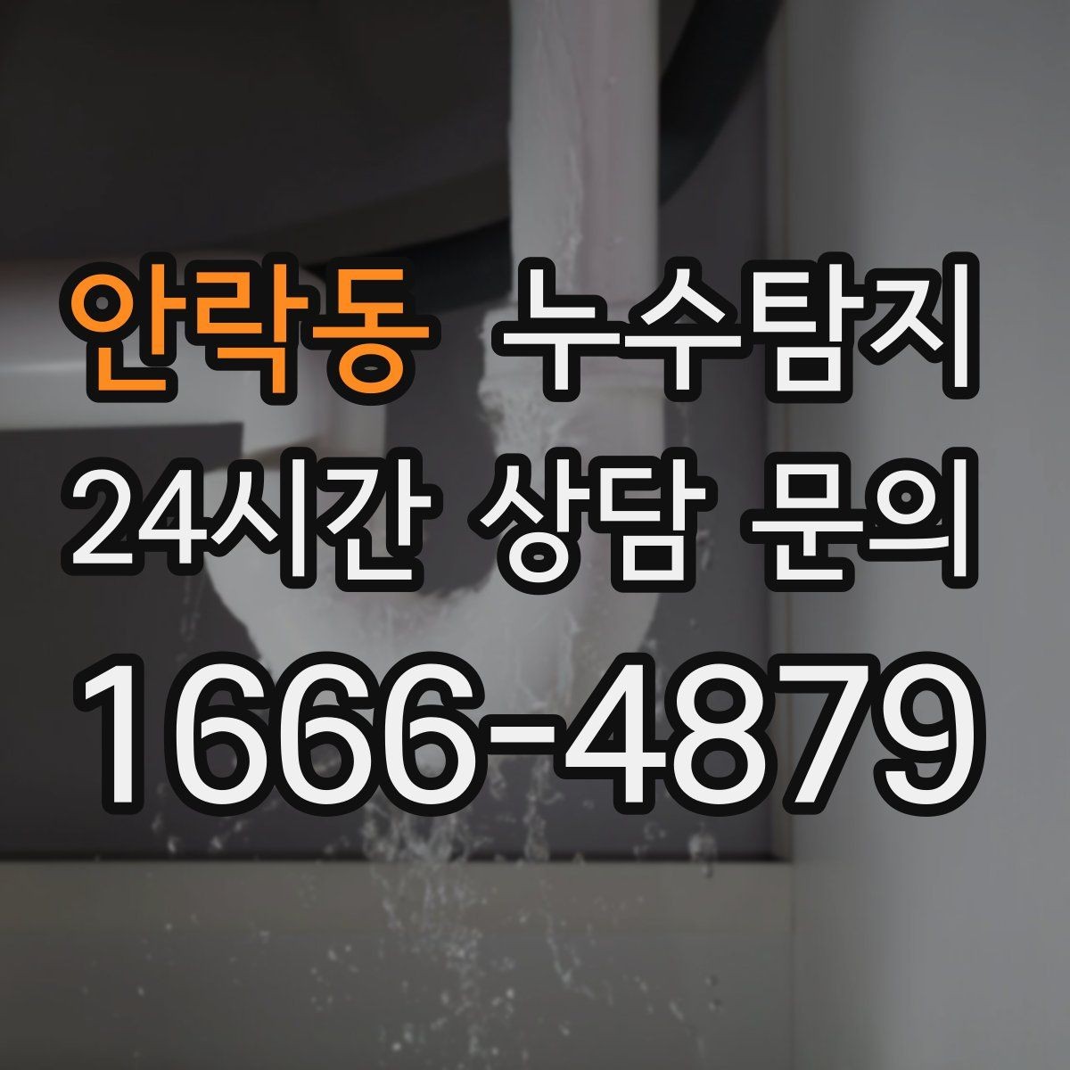 안락동 누수탐지 반려가정 배려 점검 후기