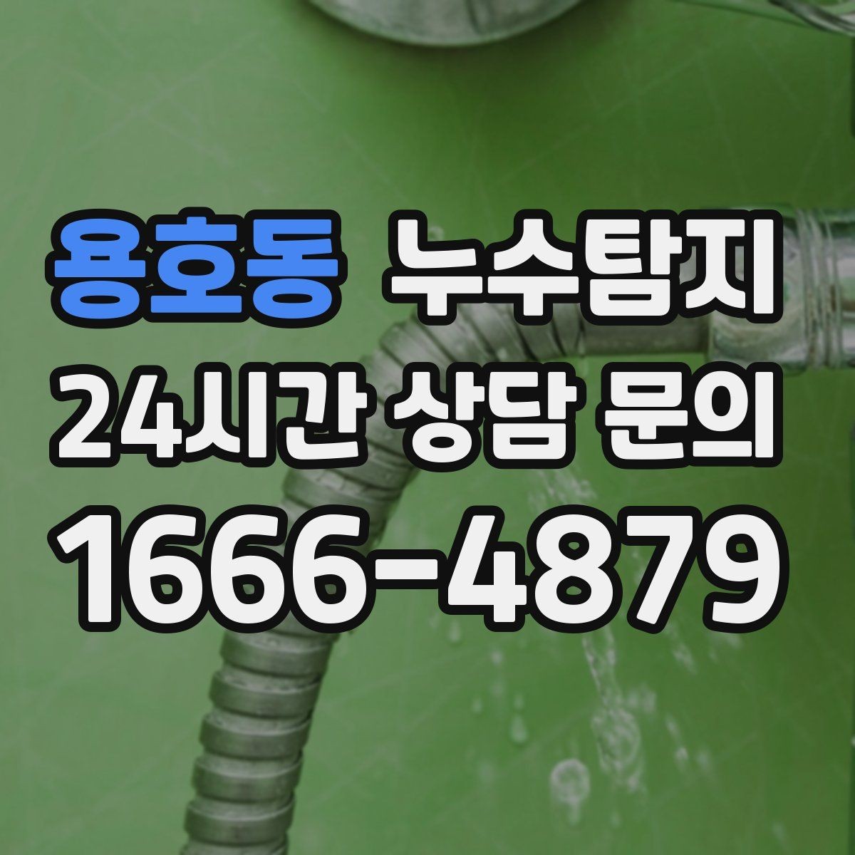 용호동 누수탐지 벽체 내부 소리로 찾은 단서