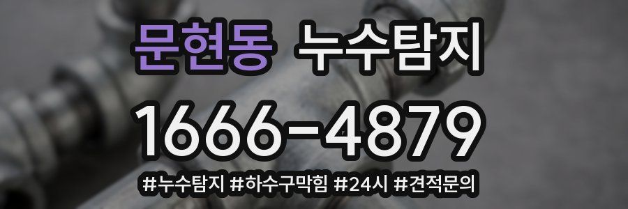 누수닥터 누수탐지