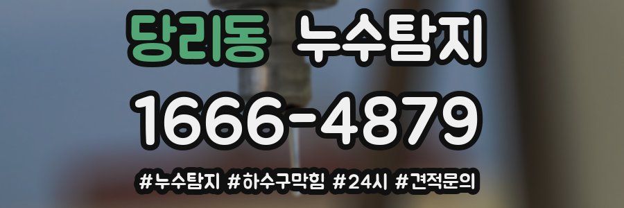 누수닥터 누수탐지