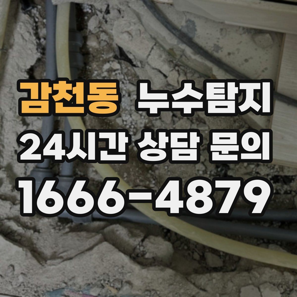 감천동 누수탐지 아이 방 곰팡이 원인 끝까지 추적