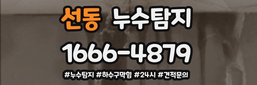 누수닥터 누수탐지
