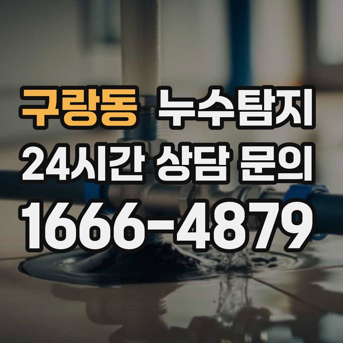 구랑동 누수탐지 천장 벽 바닥 누수 진단