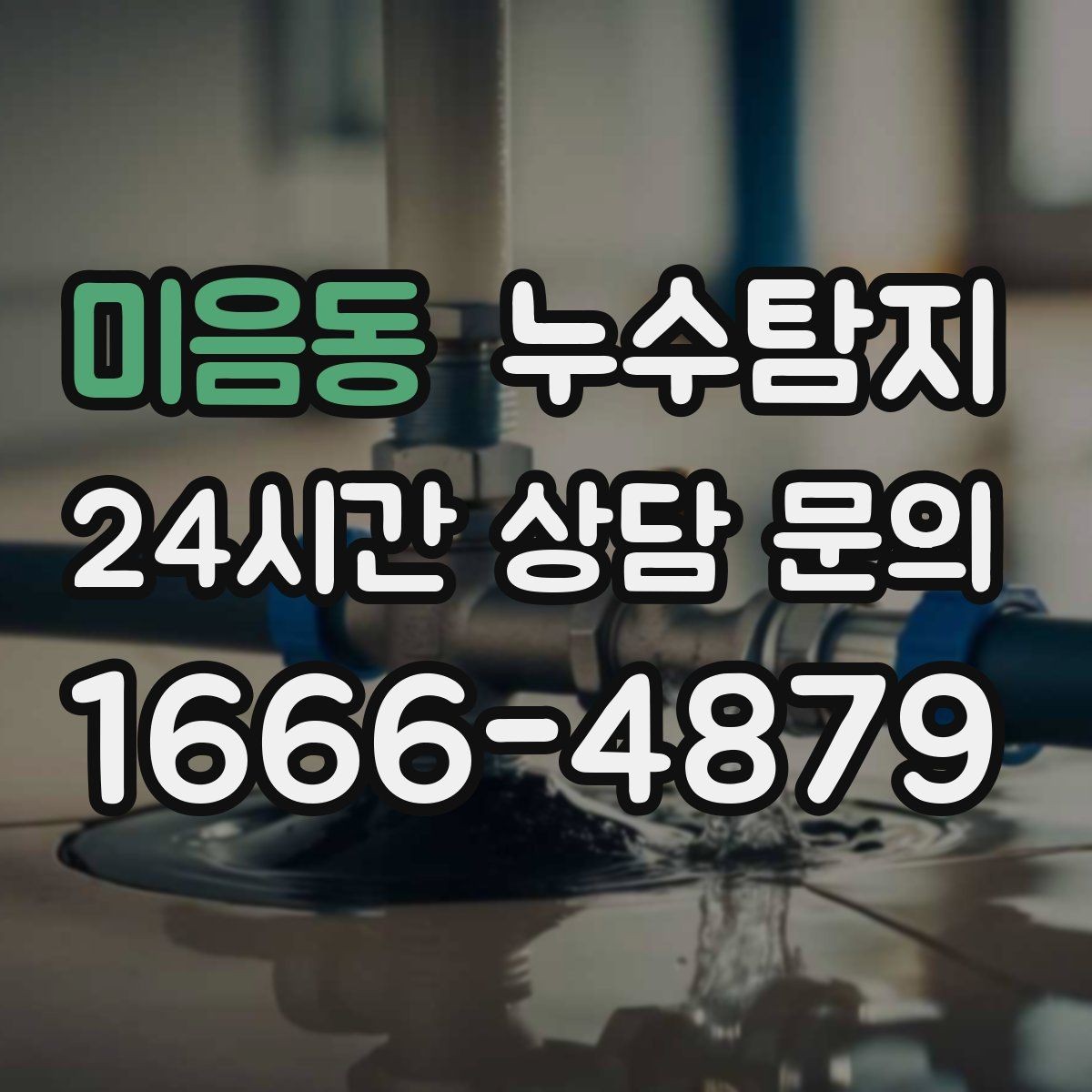 미음동 누수탐지 학교 시설 점검 사례 공유