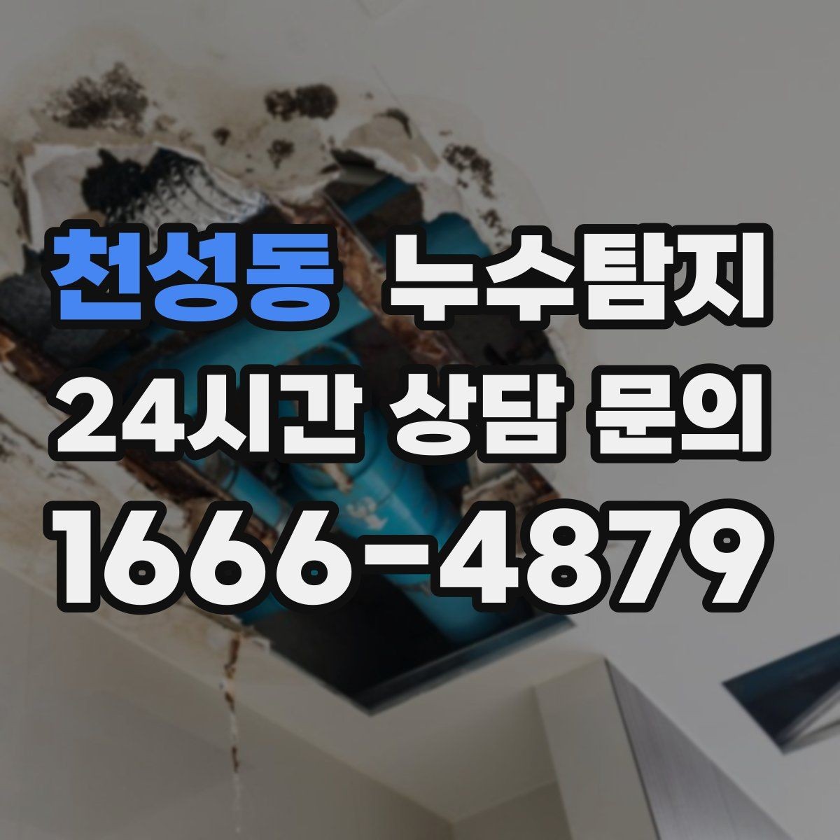 천성동 누수탐지 문제를 신속히 해결하는 방법