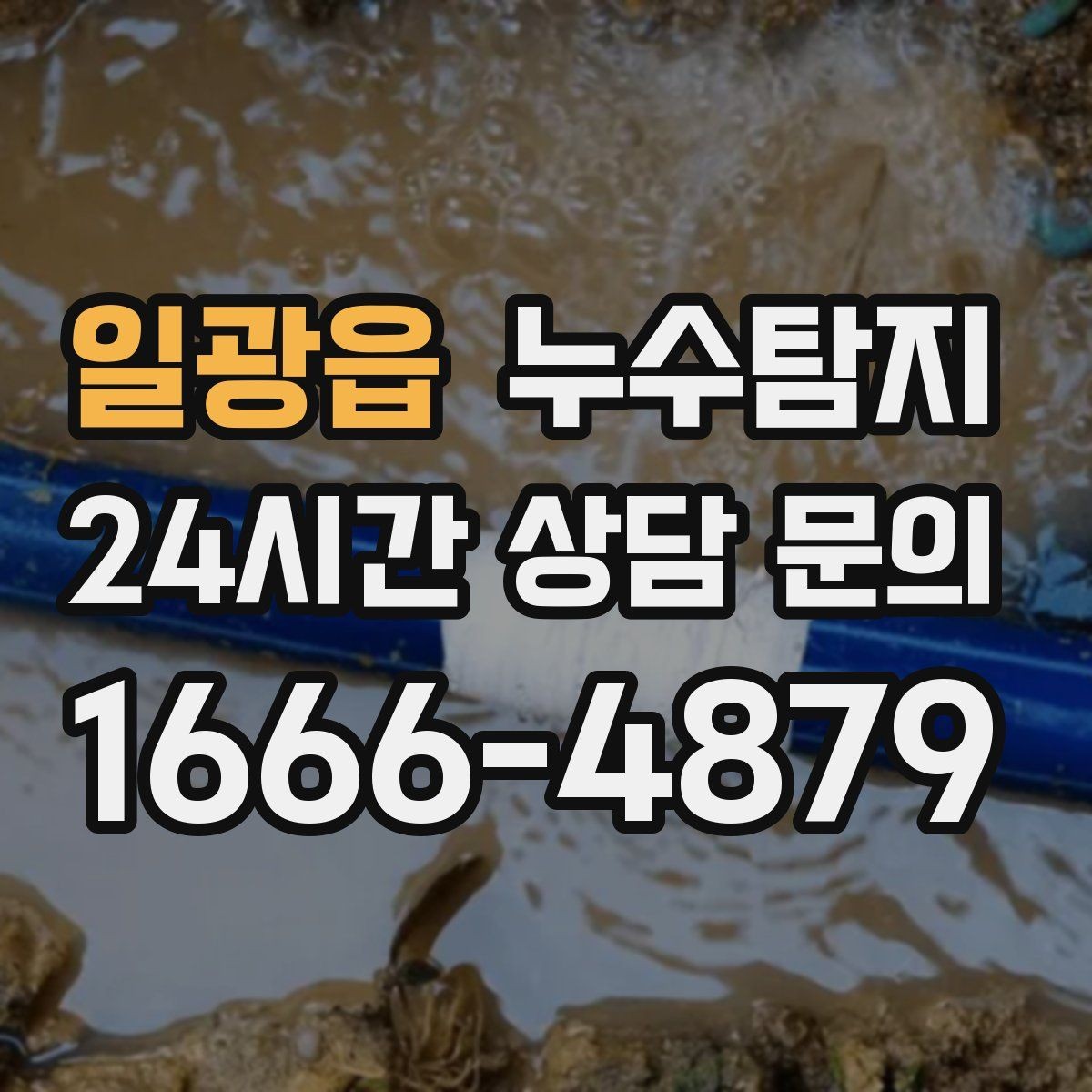일광읍 누수탐지 지하층 물고임 탈출기
