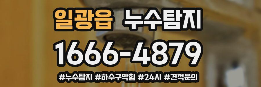 누수닥터 누수탐지