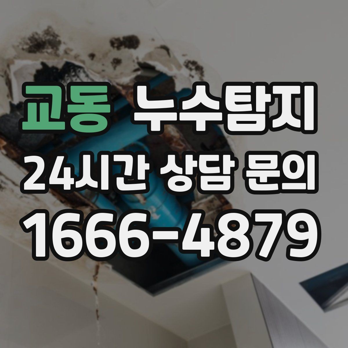 교동 누수탐지 반지하 습기 문제 해결기
