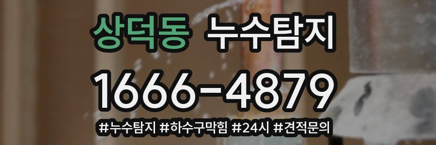 누수닥터 누수탐지