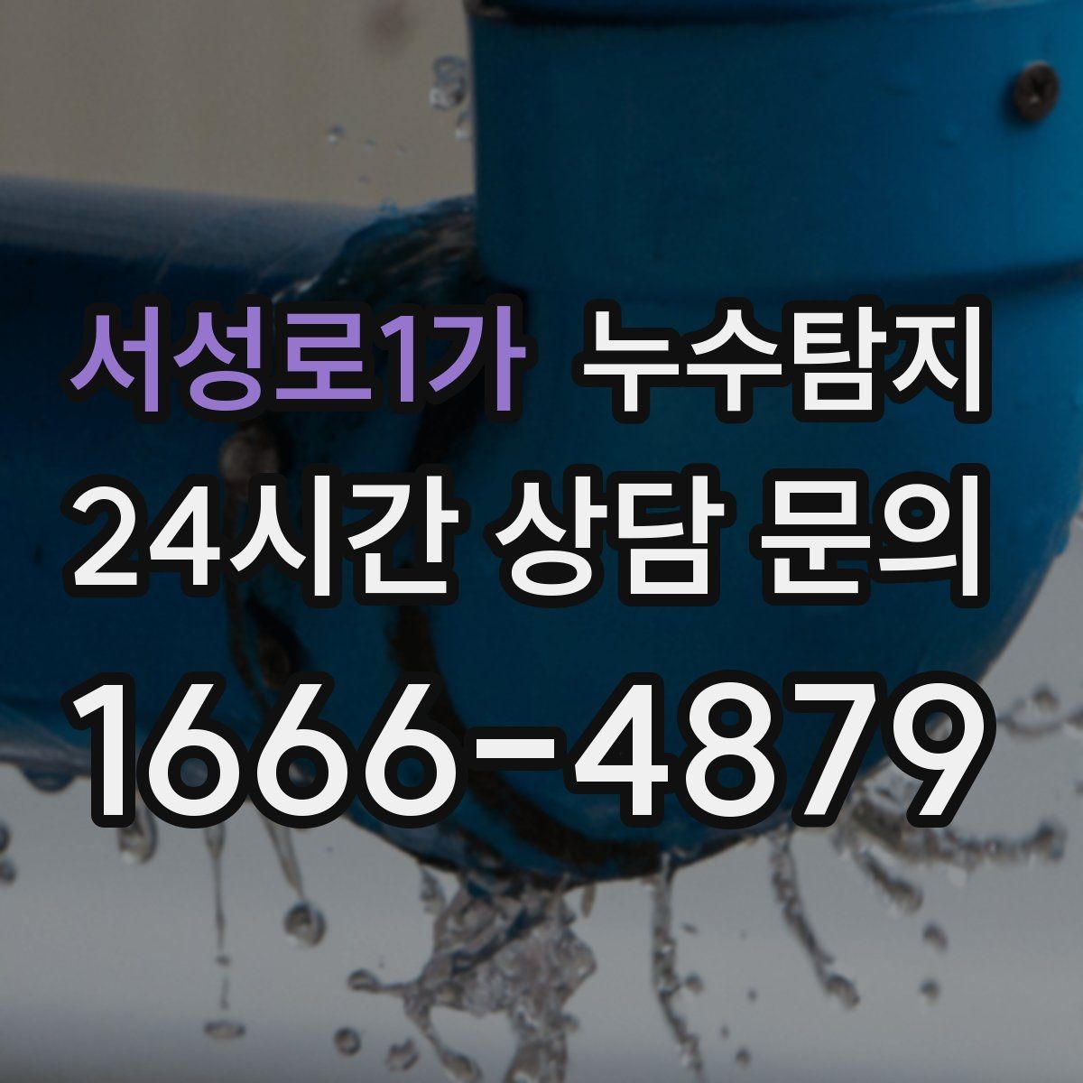 서성로1가 누수탐지 상가와 카페 영업 중 점검 노하우