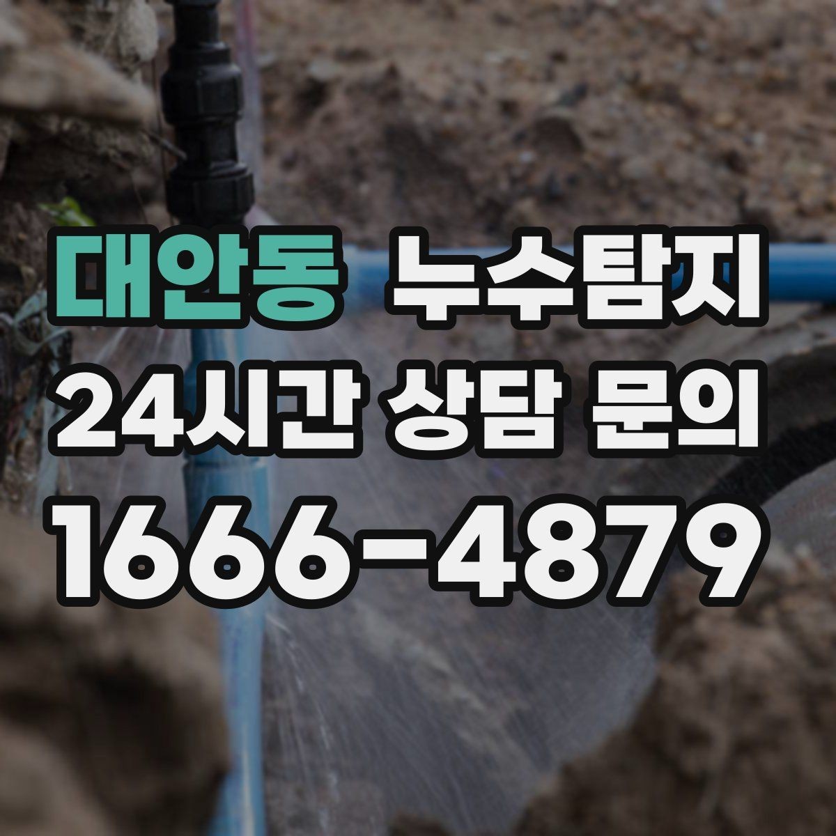 대안동 누수탐지 몰딩 틈새 습기 원인 추적