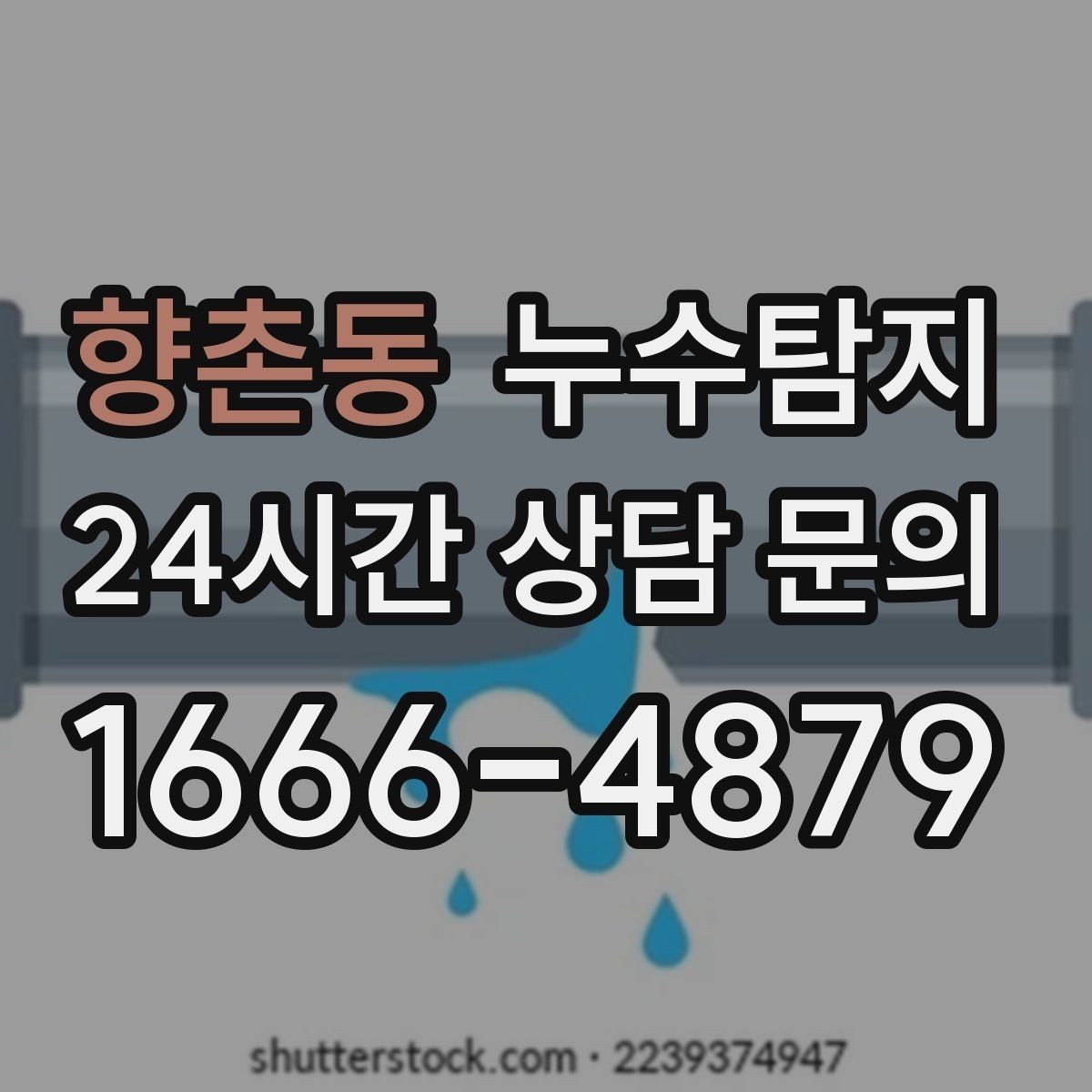 향촌동 누수탐지 벽지 들뜸 빠른 진단 노하우