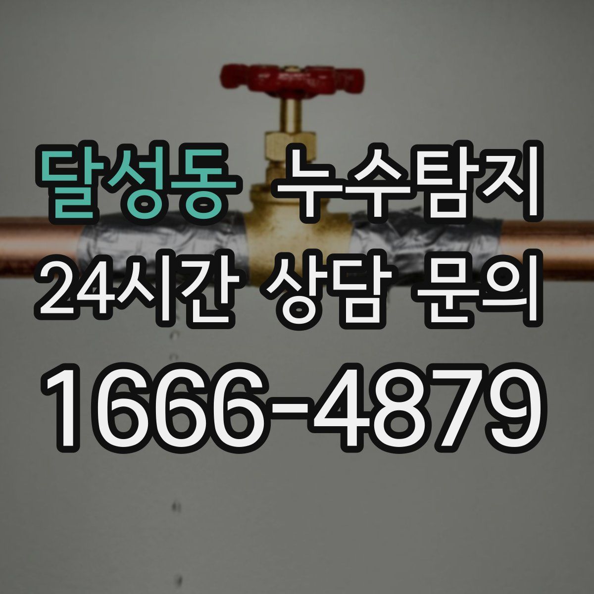 누수탐지