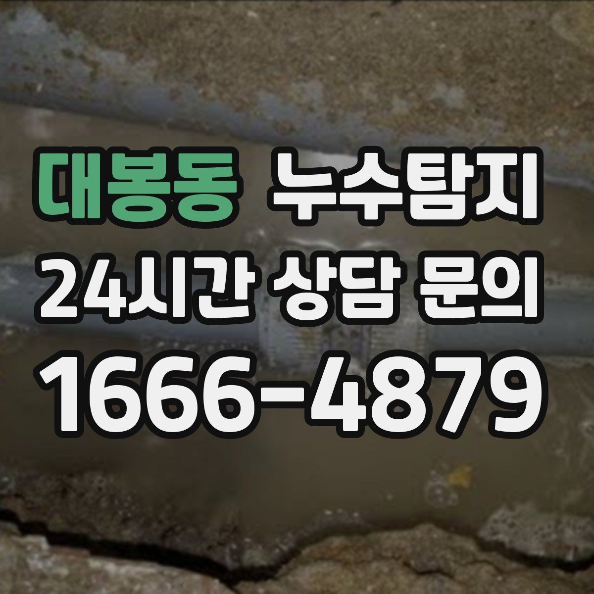대봉동 누수탐지 신속 정확한 서비스를 만나보세요