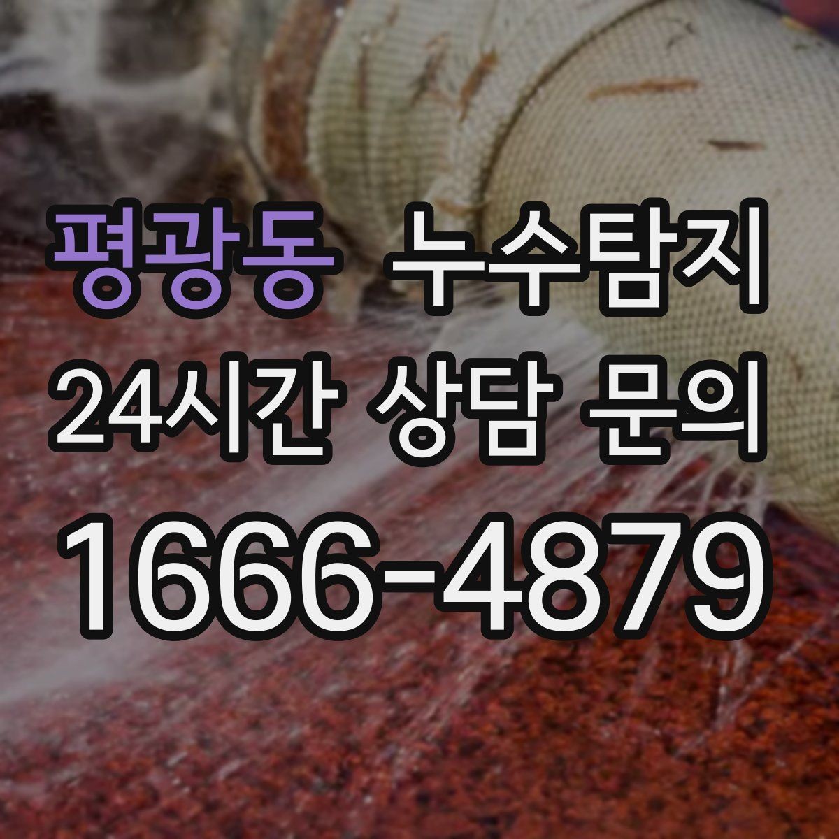 평광동 누수탐지 전문가와 함께한 현장 진단 이야기