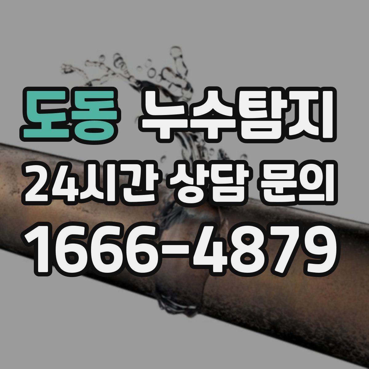 도동 누수탐지 당일 상담과 긴급 점검 이용 후기