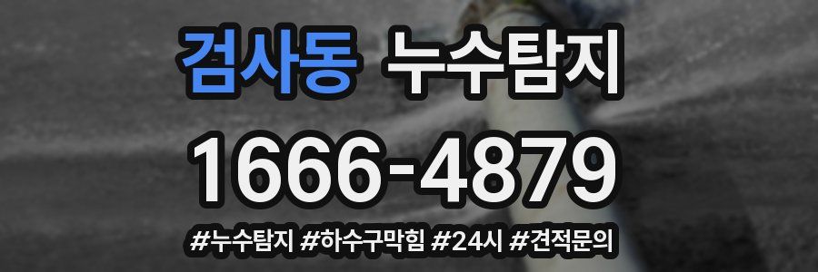 누수닥터 누수탐지