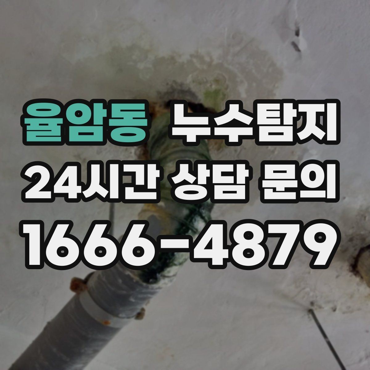 율암동 누수탐지 수도요금 폭탄을 막는 진단 방법