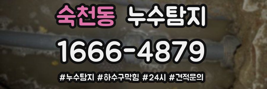 누수닥터 누수탐지