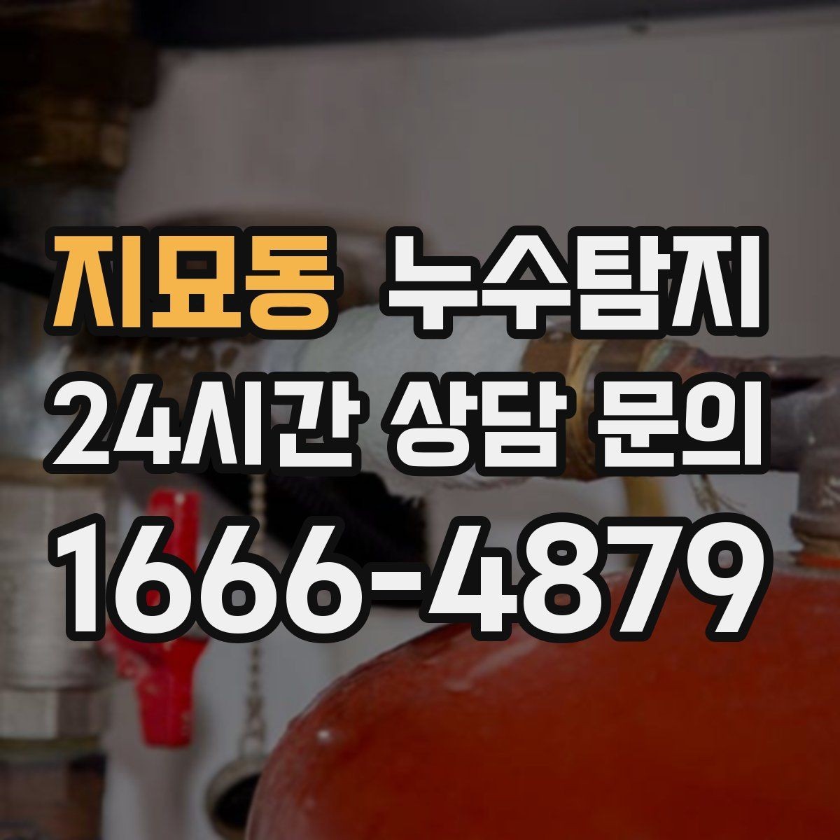 지묘동 누수탐지 빠른 판단이 막은 2차 피해