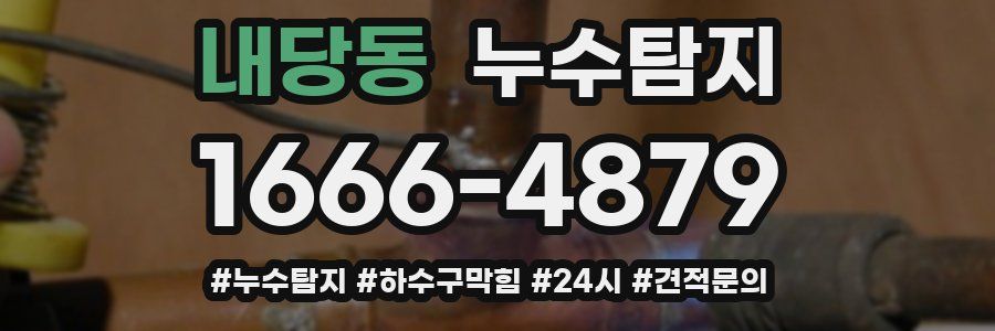 누수닥터 누수탐지