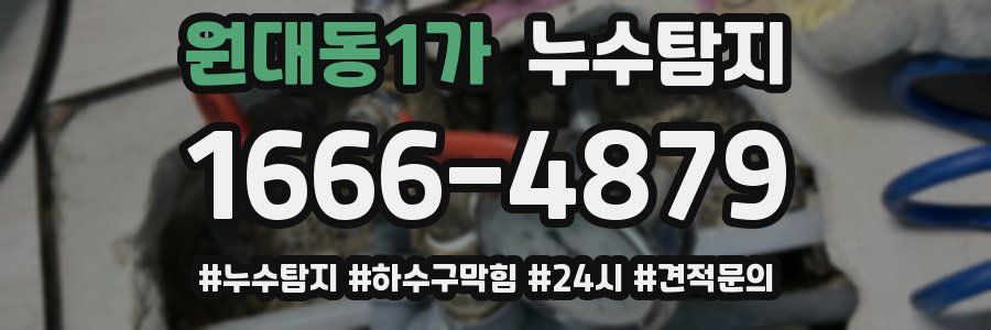 누수닥터 누수탐지