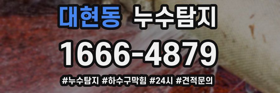 누수닥터 누수탐지