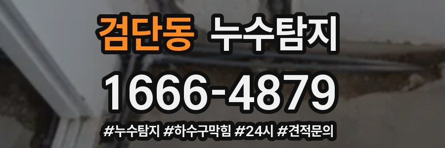 누수닥터 누수탐지