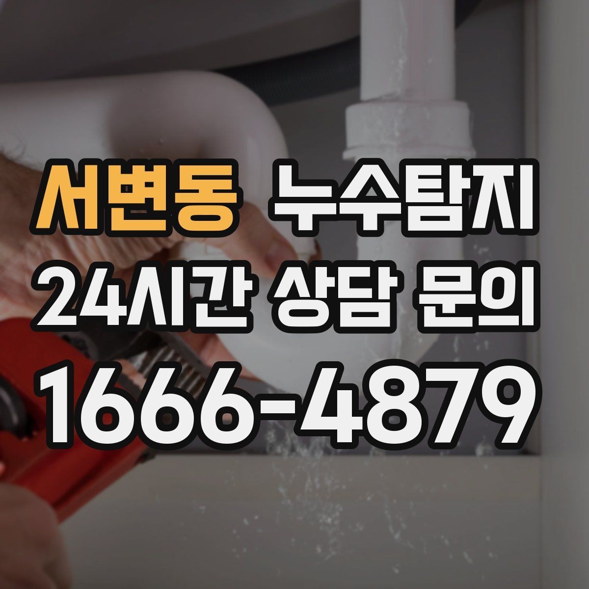 서변동 누수탐지 몰딩 틈새 습기 원인 추적