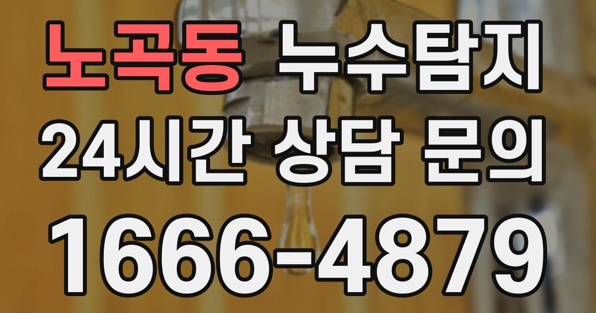 하수구막힘
