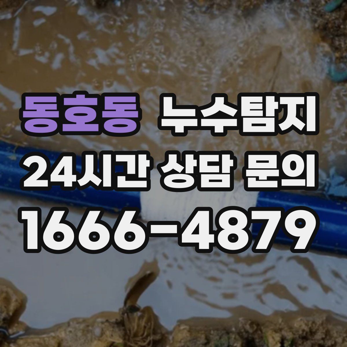 동호동 누수탐지 보고서로 깔끔하게 보상 받기