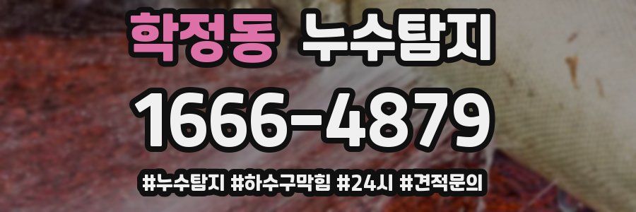 누수닥터 누수탐지