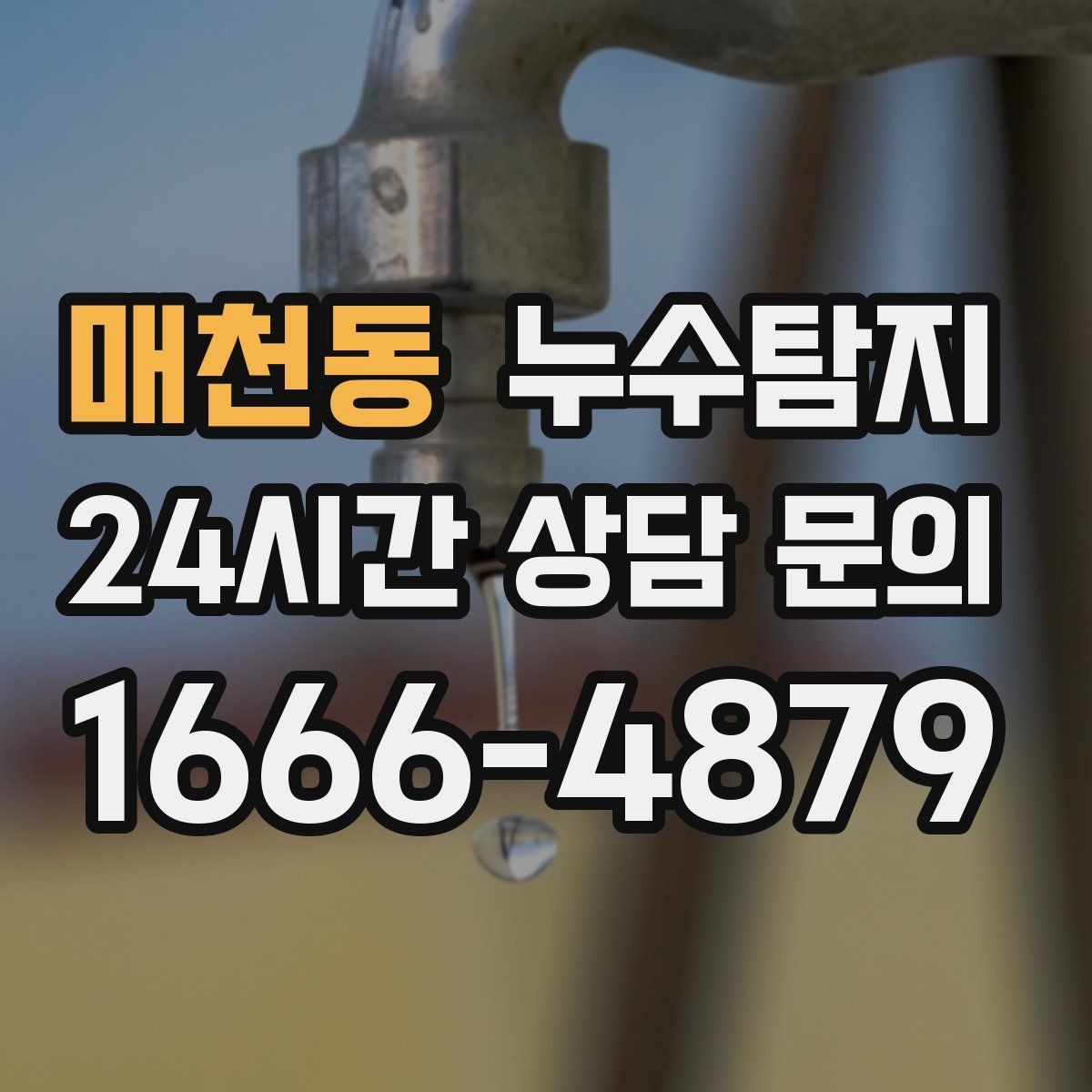 매천동 누수탐지 아이와 반려동물을 위한 안전 점검