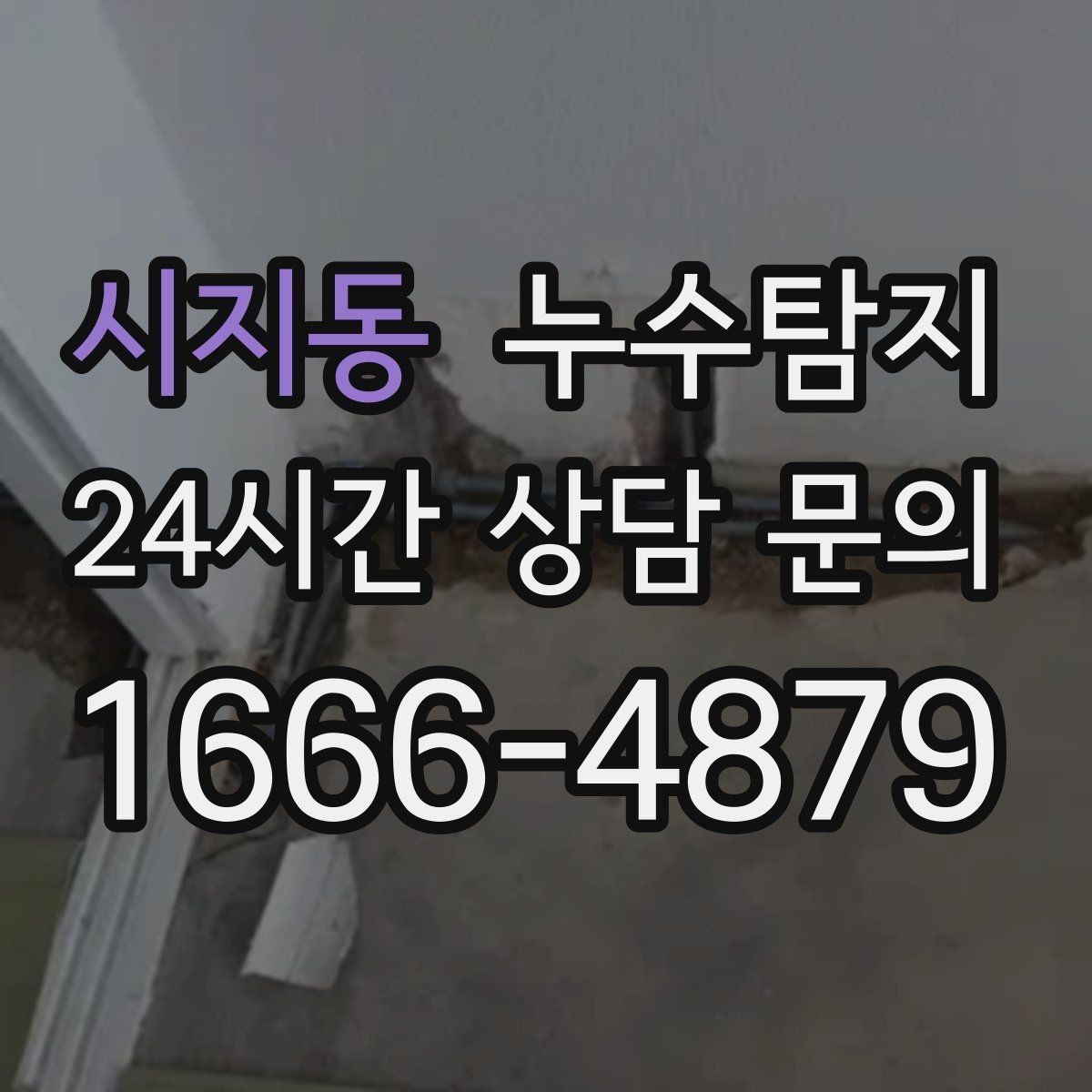 시지동 누수탐지 리모델링 일정 지킨 대응