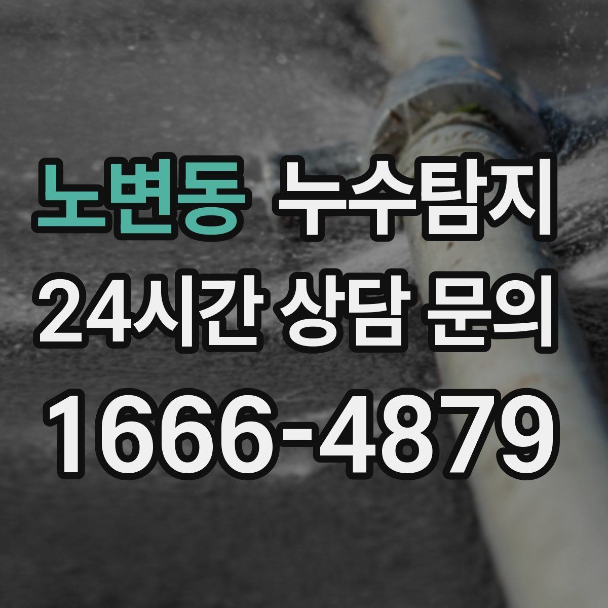 노변동 누수탐지 상가 매장 영업 중 점검 노하우
