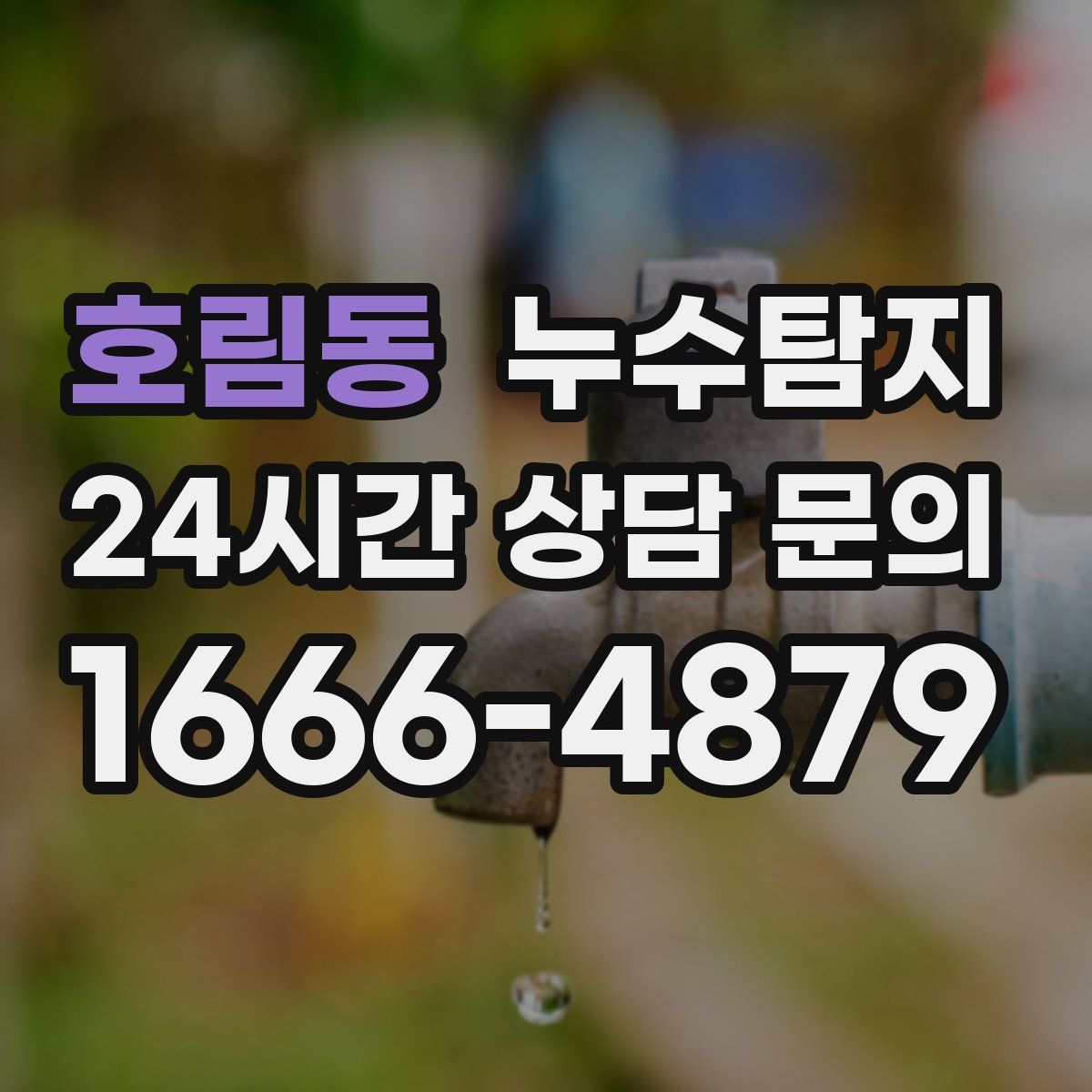 누수탐지
