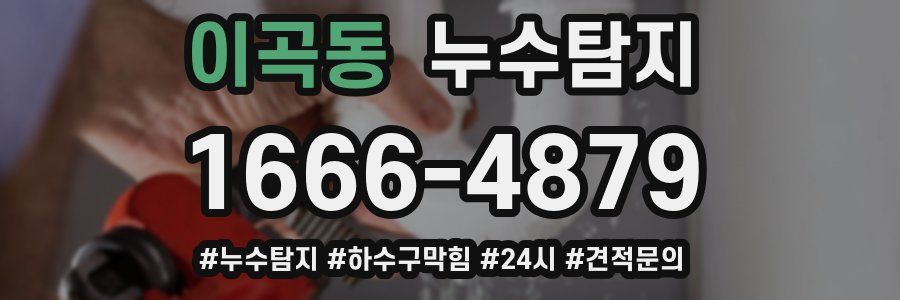 누수닥터 누수탐지