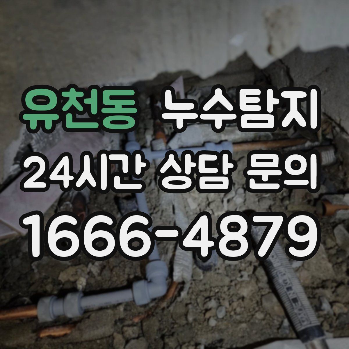 유천동 누수탐지 세탁실 배수 이상 확인 일지