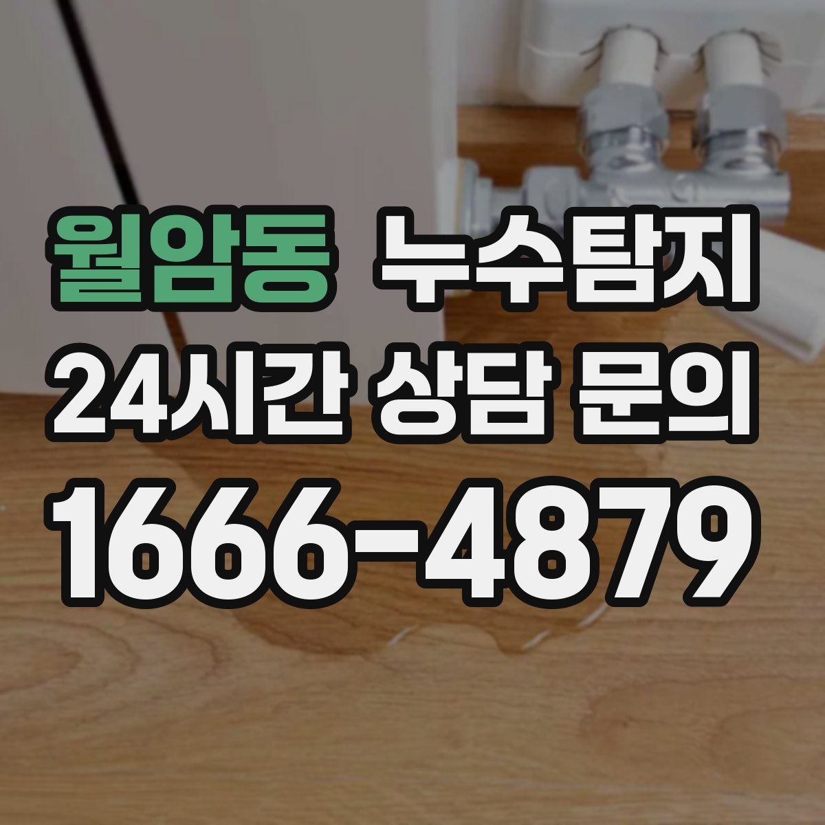 누수탐지