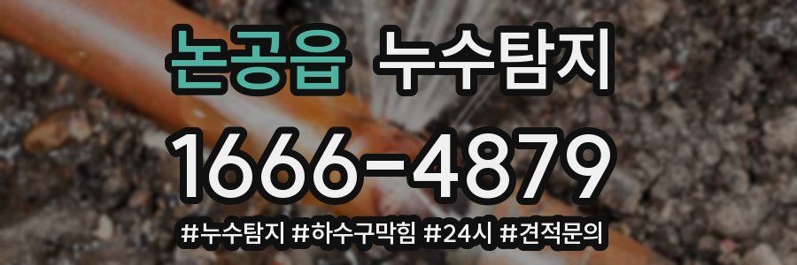 누수닥터 누수탐지