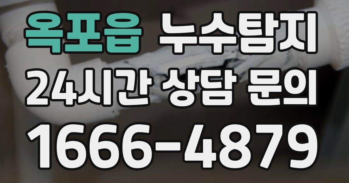 하수구막힘