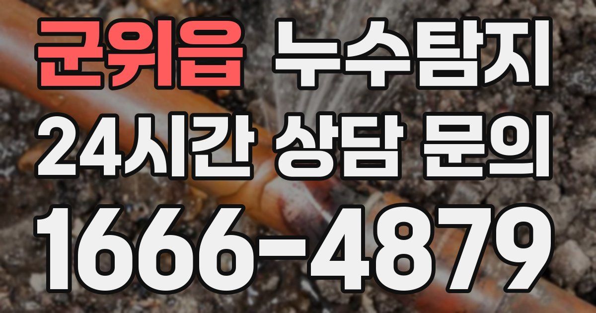 하수구막힘