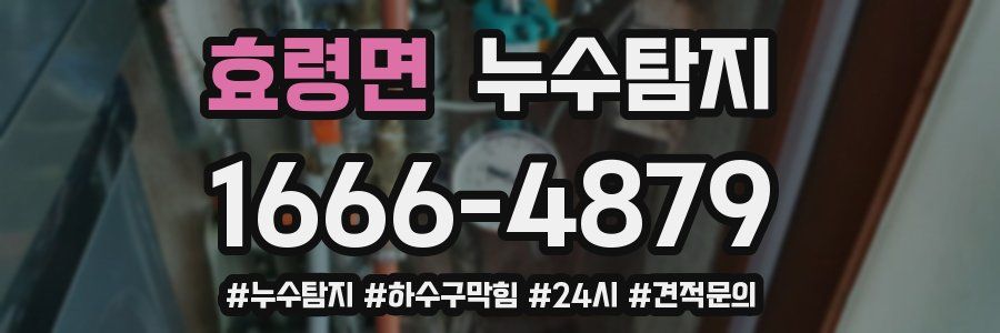 누수닥터 누수탐지