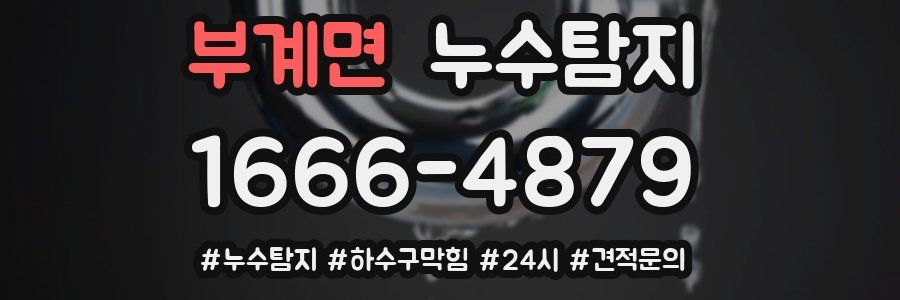 누수닥터 누수탐지