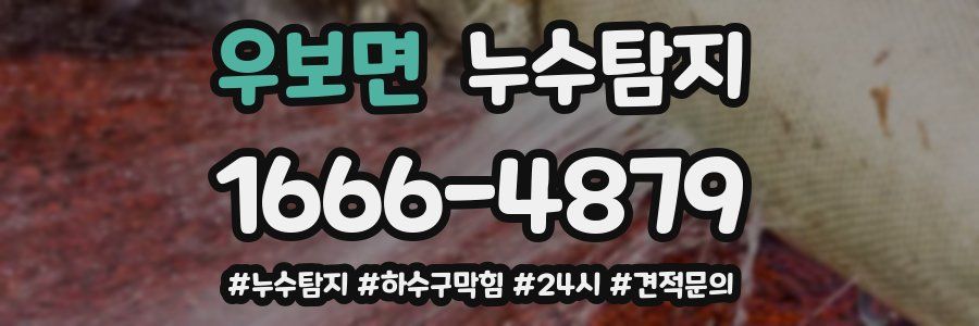 누수닥터 누수탐지