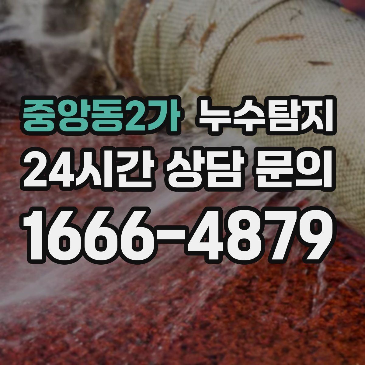 중앙동2가 누수탐지 전문 진단 서비스