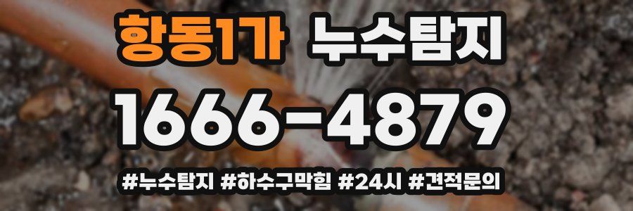 누수닥터 누수탐지