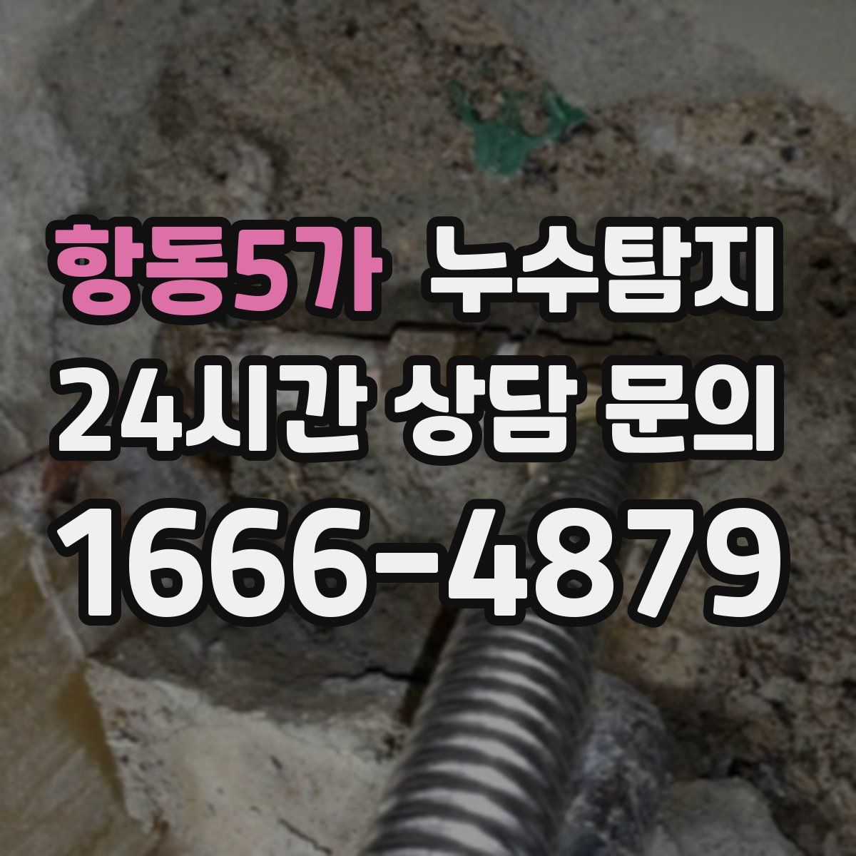 누수탐지